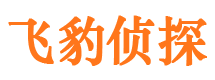 岳麓市婚姻出轨调查